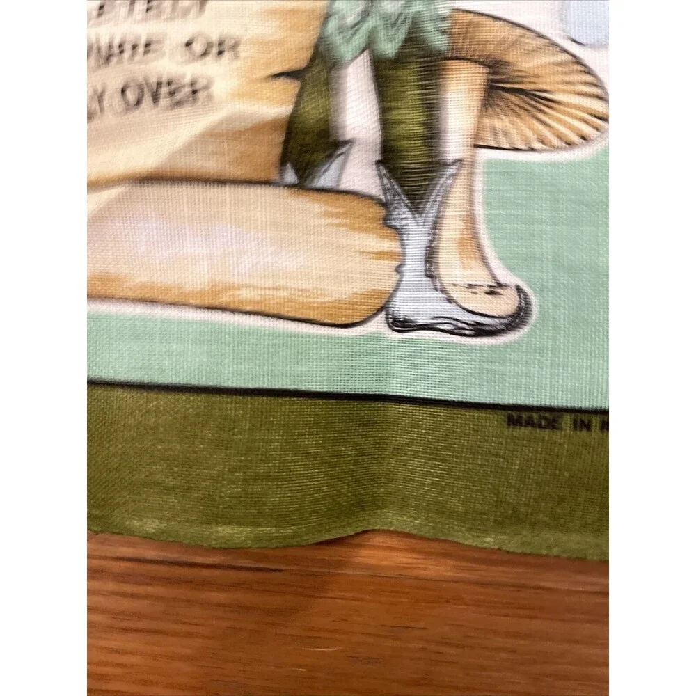 Fingal Irish Linen Irish Coffee Green Tea Towel Wall Hanging 19X30 In